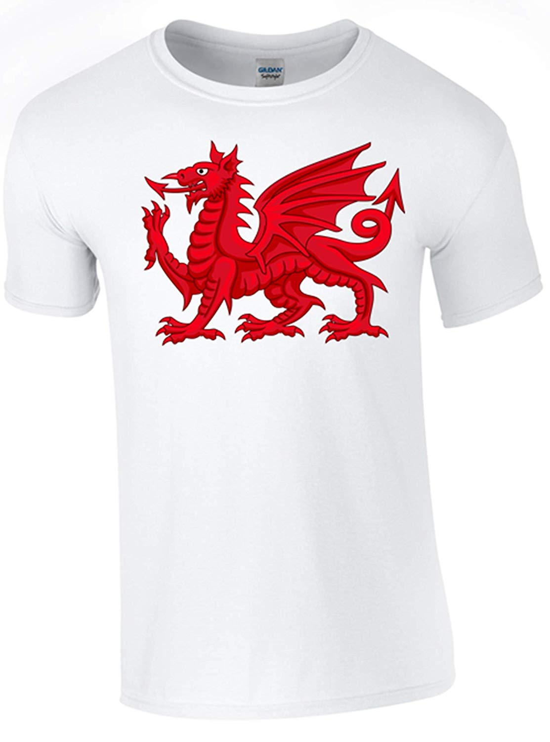 Army 1157 Kit St David's Day Dragon T-Shirt Printed DTG (Direct to Garment) for a Permanent Finish. - Army 1157 kit White / XL Army 1157 Kit Veterans Owned Business