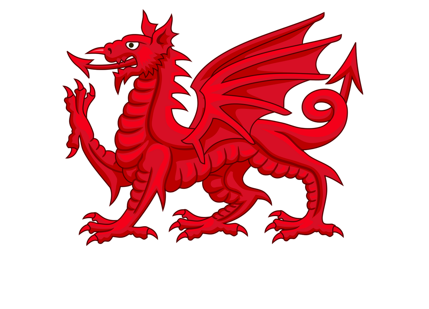 TREALAW VETERANS Welsh dragon Polo Top - Army 1157 kit Army 1157 Kit Veterans Owned Business